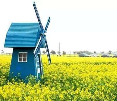 春天來了！3月全國最美油菜花地推薦