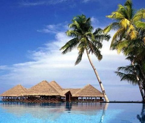 16座“洗肺”城市，你的家鄉(xiāng)上榜了沒？