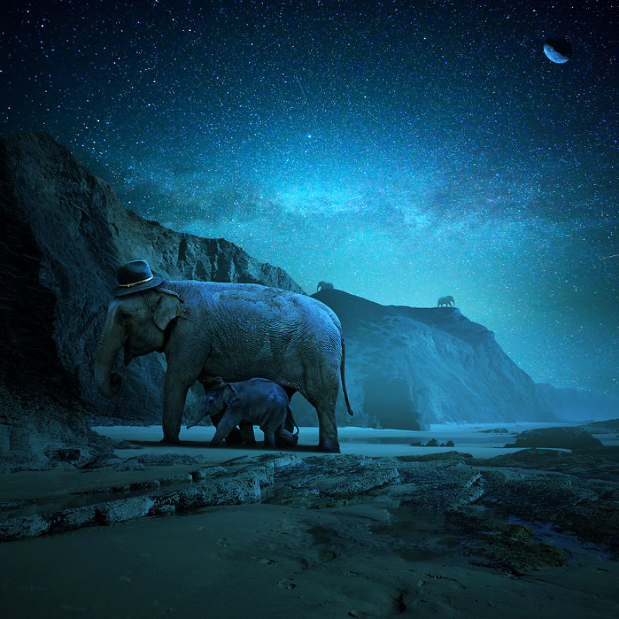 當動物占領地球