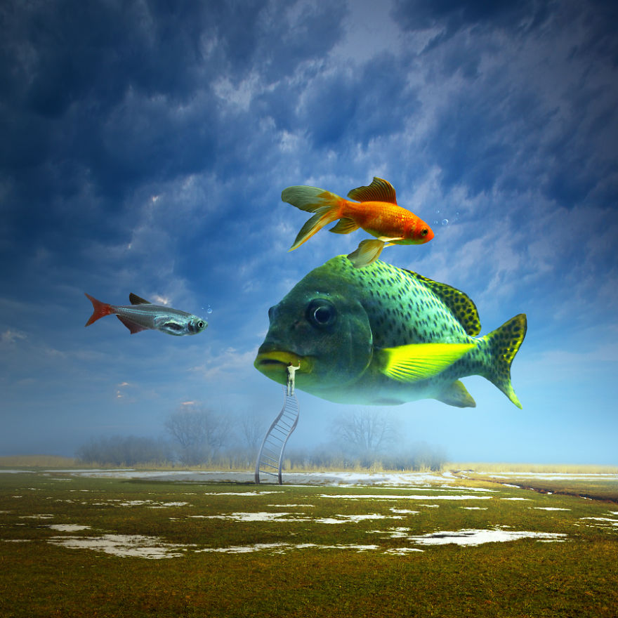 當動物占領地球