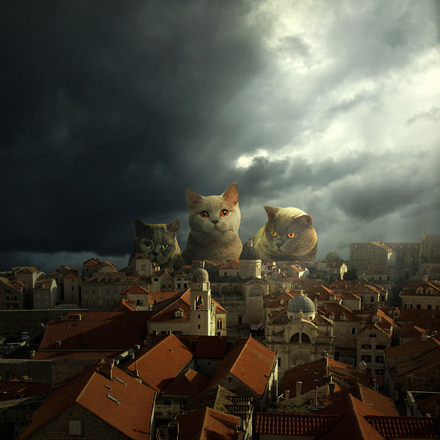 當動物占領地球