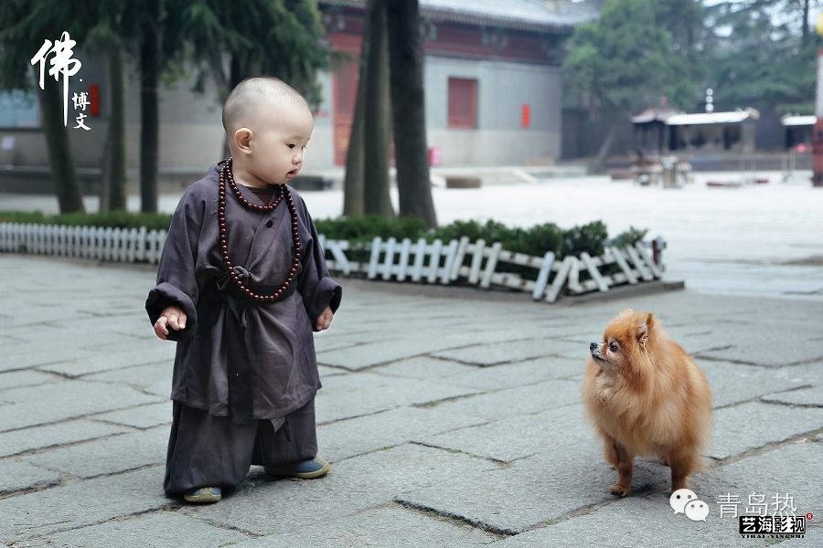 青岛湛山寺最萌小和尚出炉