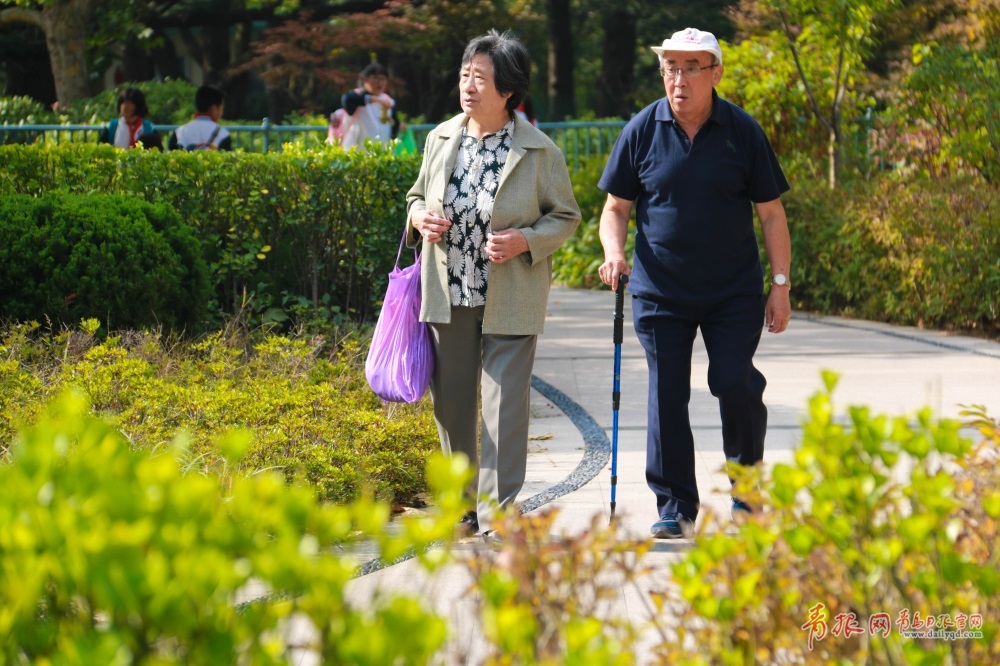 锻炼完了,跟老伴儿一起散散步,还可以聊聊心事,拉拉家常,也是个不错的