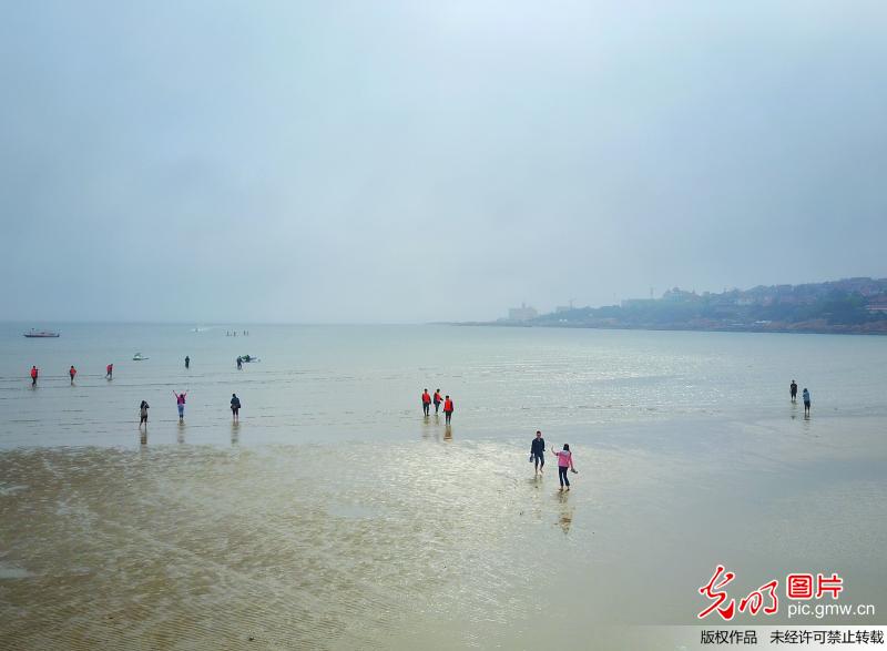 航拍青岛市民赶海盛景