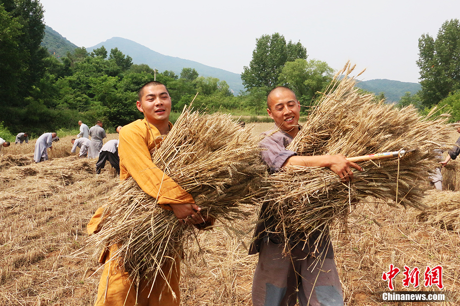 盛夏 夏至 節(jié)氣 夏季