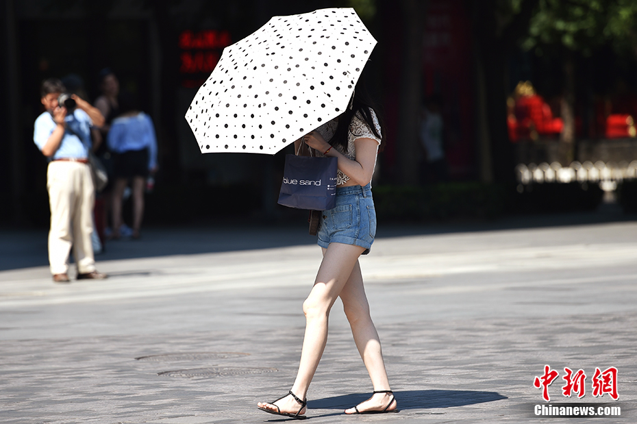 盛夏 夏至 節(jié)氣 夏季