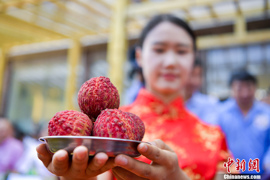 盛夏 夏至 節(jié)氣 夏季