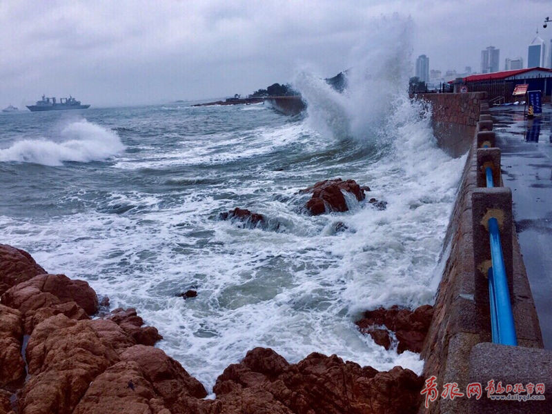 1502581098953076349.jpg 5.jpg