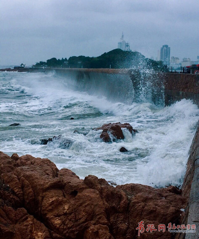 1502581189990046556.jpg 4.jpg