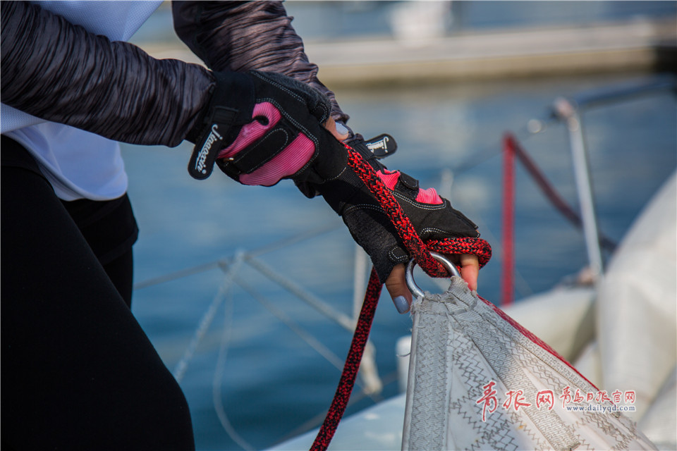 綻放在海上的“黑玫瑰”