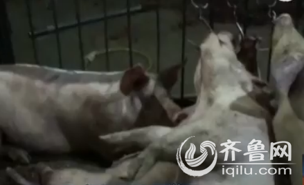 QQ截圖20150629231932