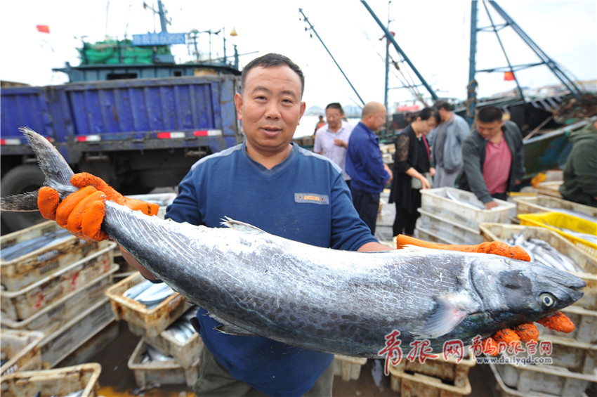 青岛海产品大量上市 走俏节日市场