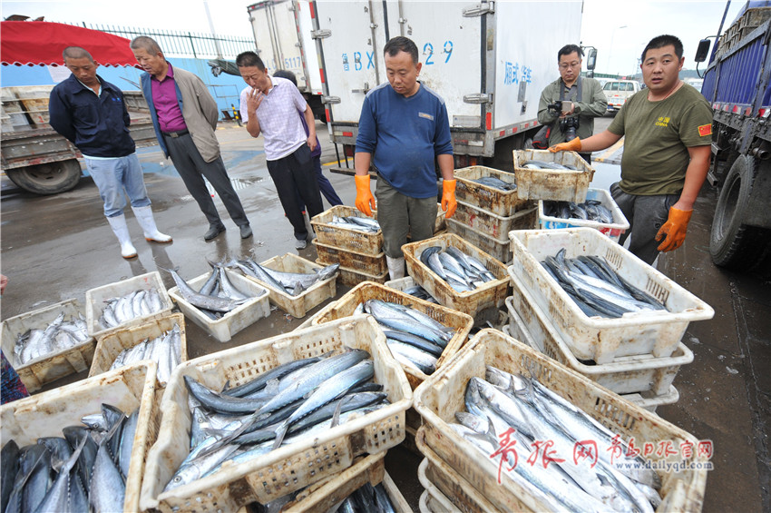 青岛海产品大量上市 走俏节日市场