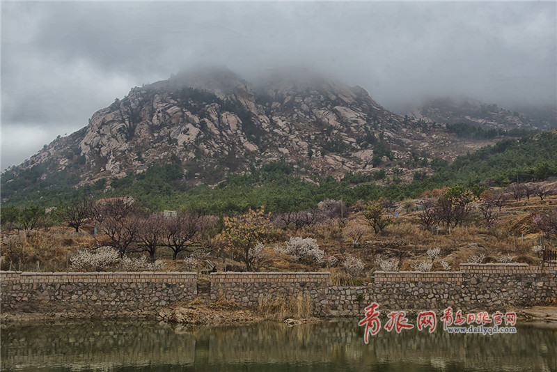 崂山：云雾缭绕似人间仙境