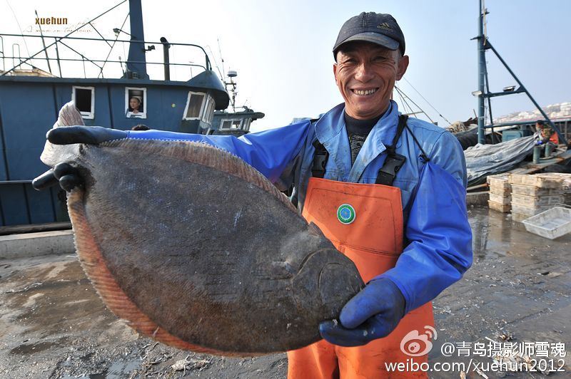 组图渔港日上岸十万斤海鲜罕见大牙鲆成鱼王