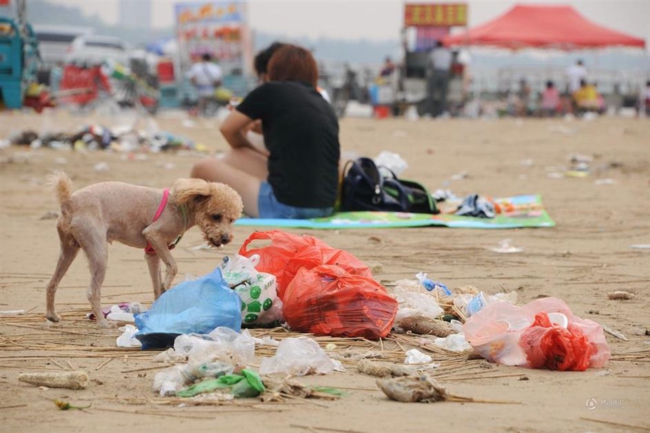 组图济南黄河河岸垃圾遍地民众垃圾之上度假