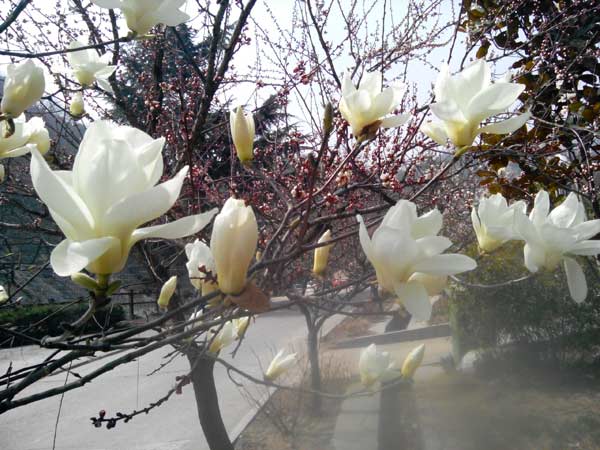 小珠山古月山庄