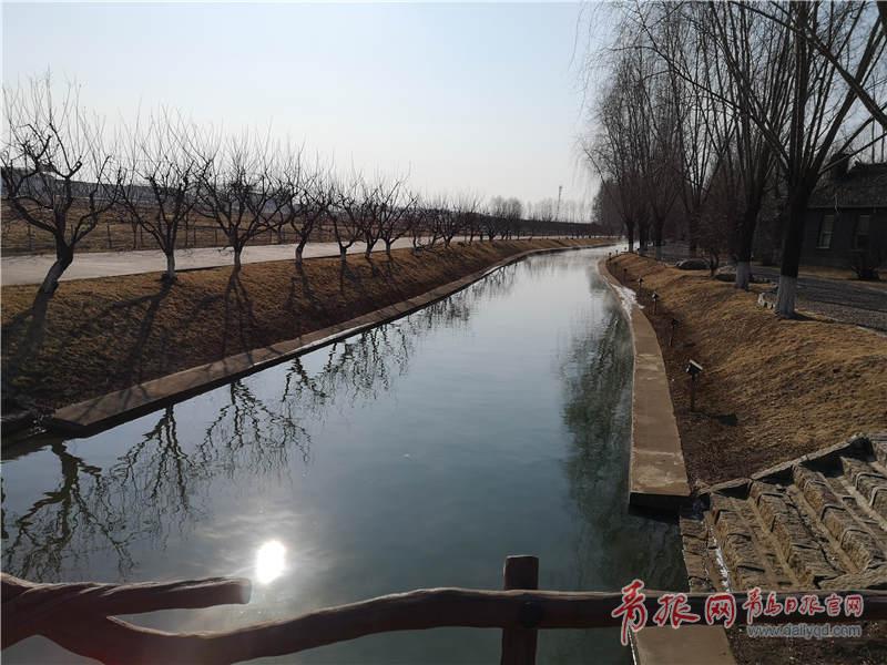 【新春记者返乡记】孤店子镇:落地窗前稻花香