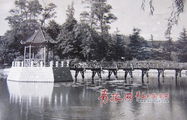 中山公园老照片系列:60年代樱花路游人如织