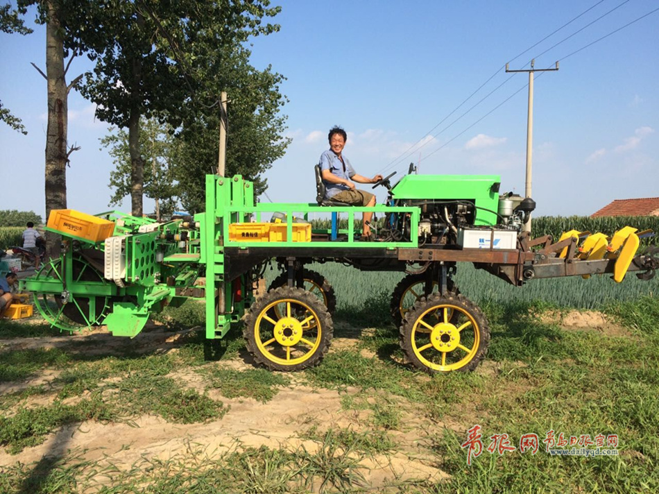 平度农民发明大葱保姆机一台能抵10个劳力