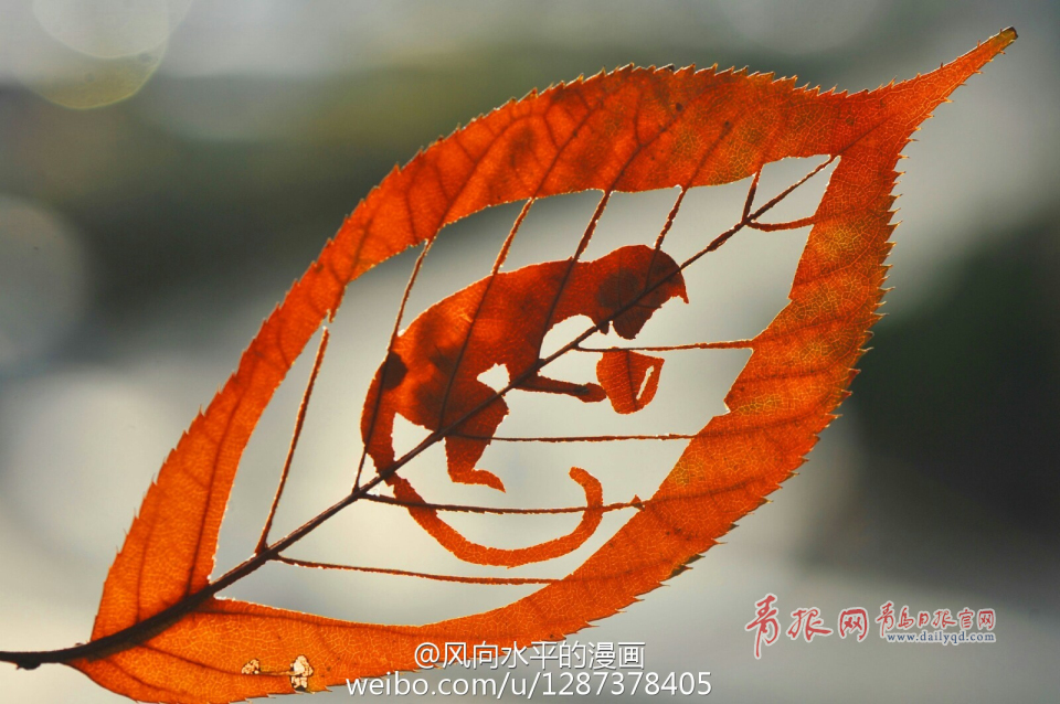 树叶刻画,叶子刻画,白纸刻画(第10页)_大山谷图库