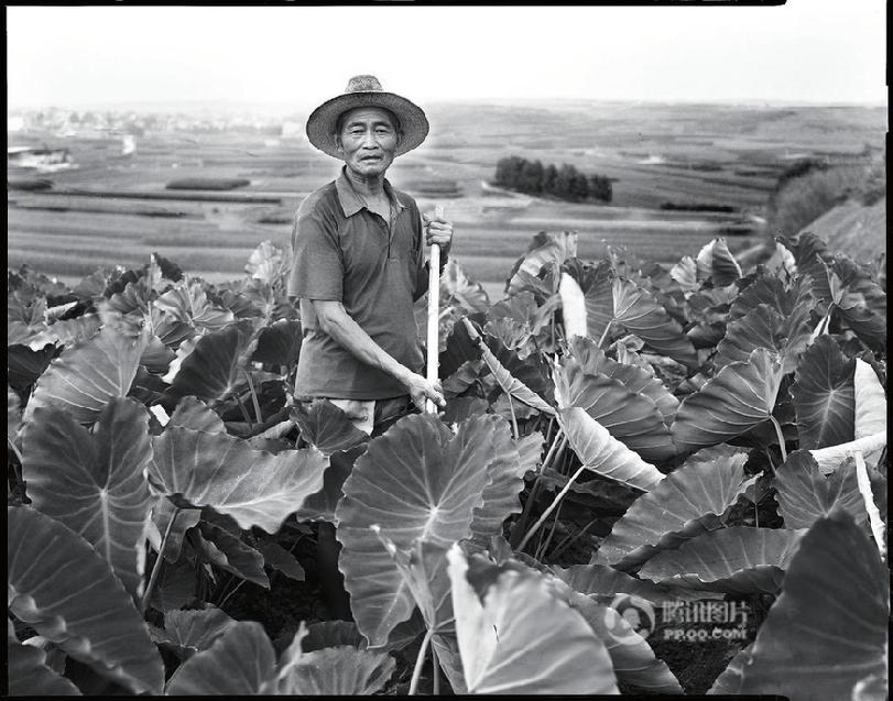 1947年反動武裝還鄉團到村裡掃蕩,他母親在逃難途中生下了他.