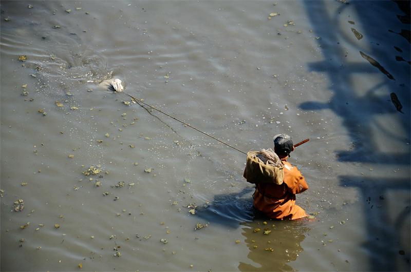 济南捞虫族臭水里"淘金" 每天最多能赚千元