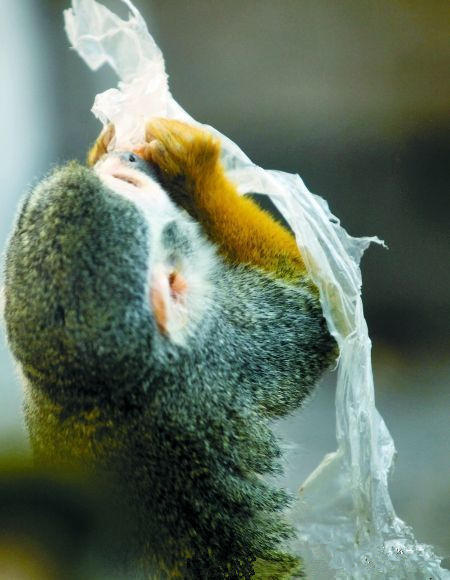 青报君在此提醒亲们国庆期间文明出游,注意爱护小动物,不要随意投喂.