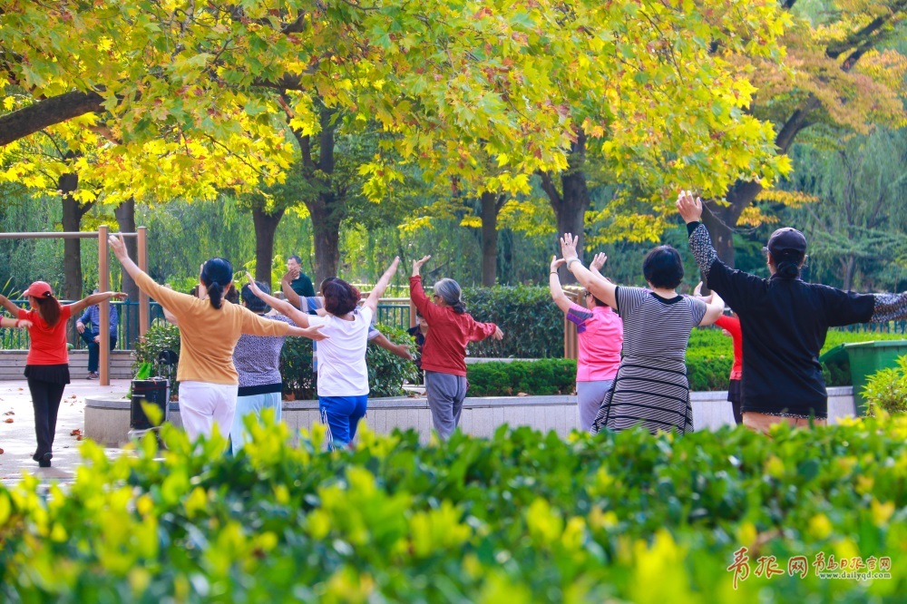 【世界保健日】青岛中老年人是这样健身的