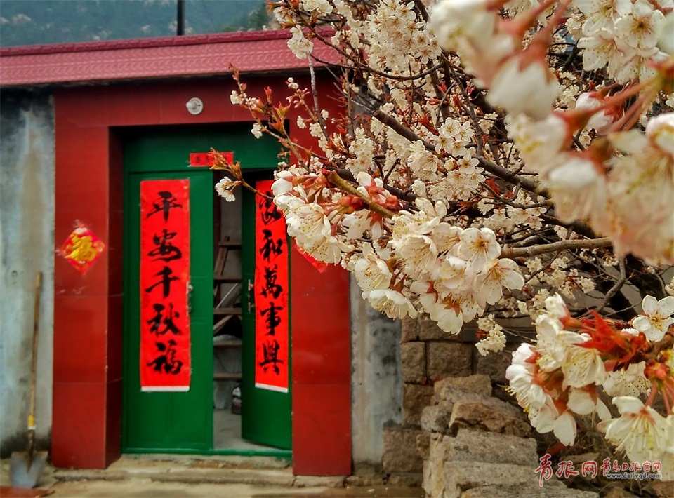 实拍雨中崂山卧龙村烟雨迷蒙宛若仙境