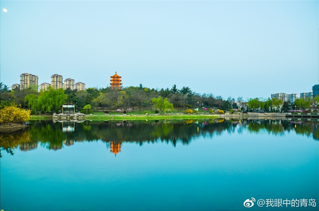 春天的李村公园一步一景