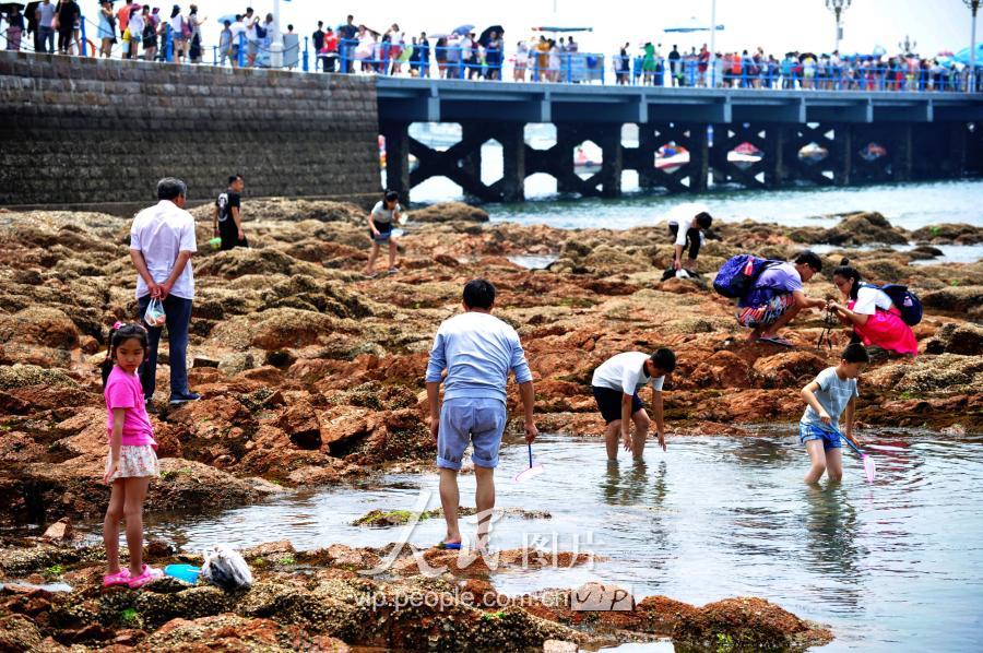 盛夏旅游季来临游客栈桥海滩赶海其乐融融