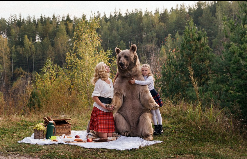 图为小女孩在俄罗斯的森林中怀抱棕熊进行摆拍