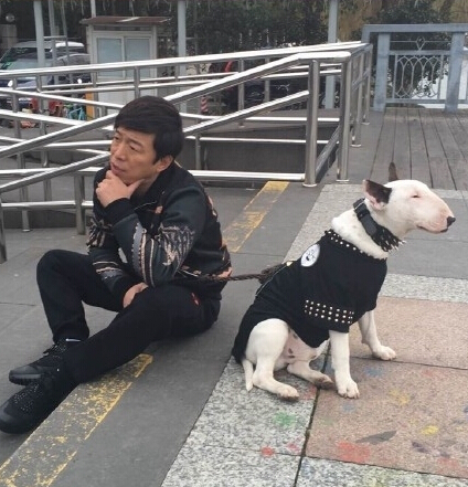 黄渤这反击我给满分!跟他合影的是牛头梗还是孙红雷?