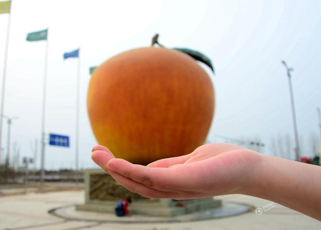 高清山东聊城现巨型苹果雕塑形象逼真高达8米