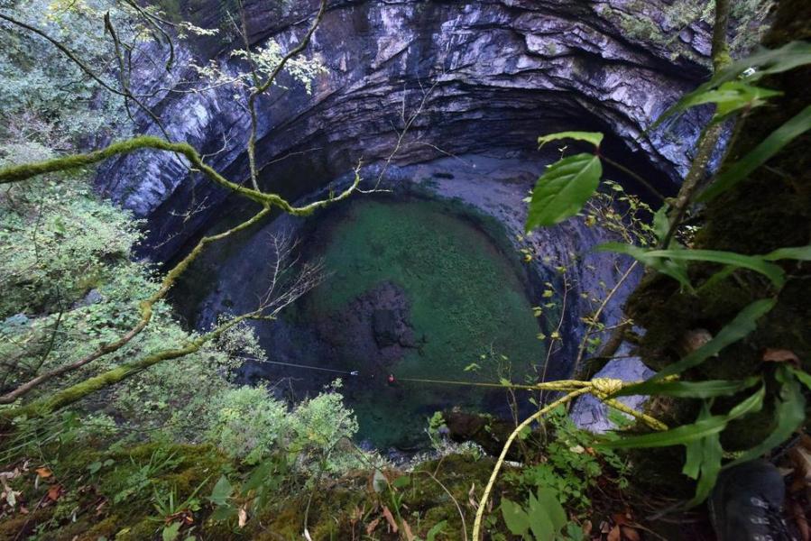 组图:探险队员进入天坑 意外救助罕见飞猫