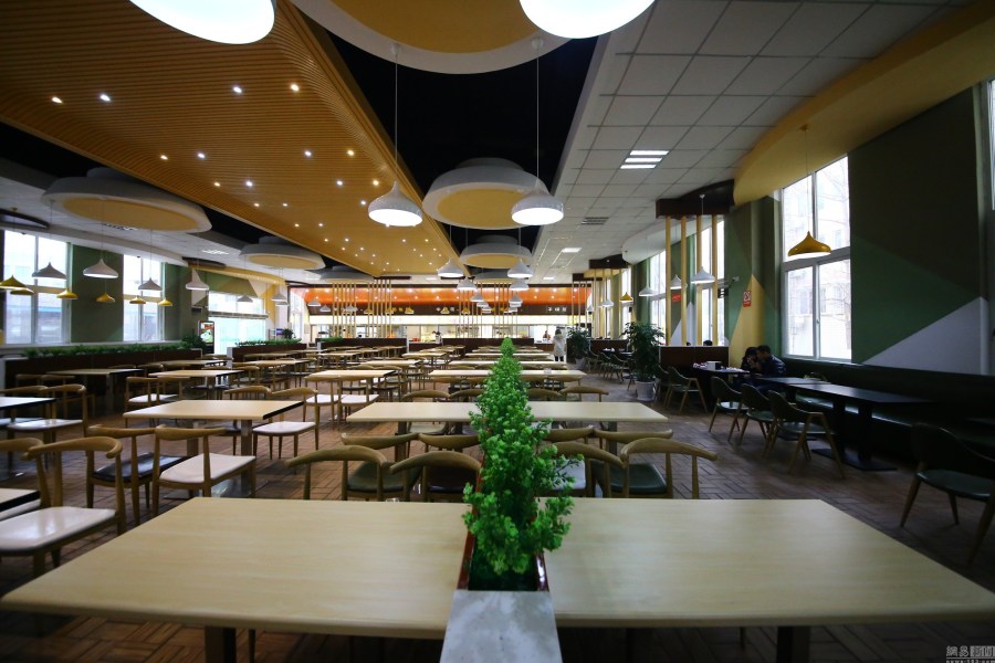 2017年01月03日,四川成都,在四川农业大学成都校区现"洋气食堂",而