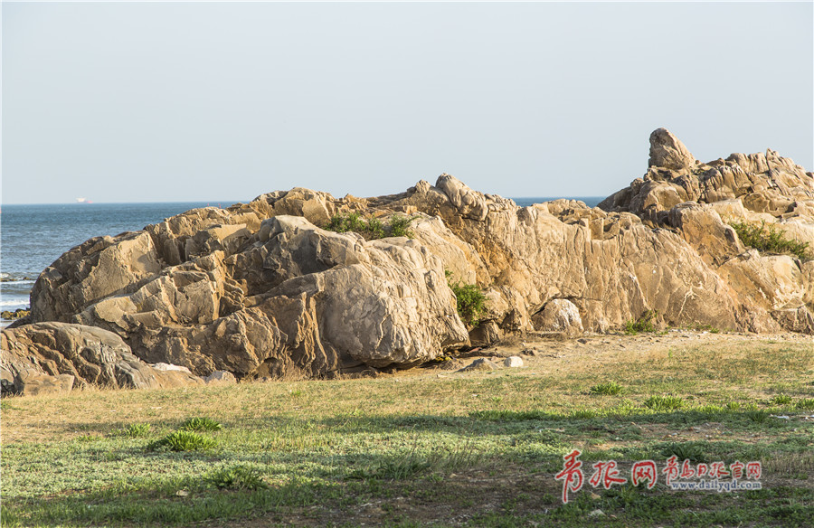 鬼斧神工!西海岸银沙滩景区礁石千姿百态