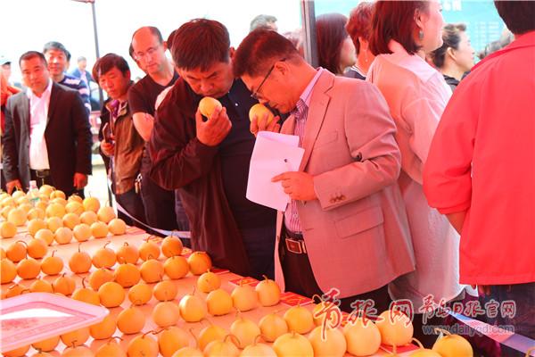 乐在莱西休闲马连第三届马连庄甜瓜节隆重开幕