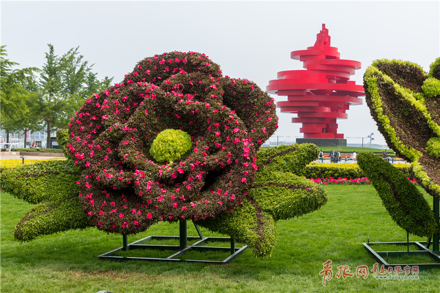 五四广场创意造型绿植引游客驻足观赏