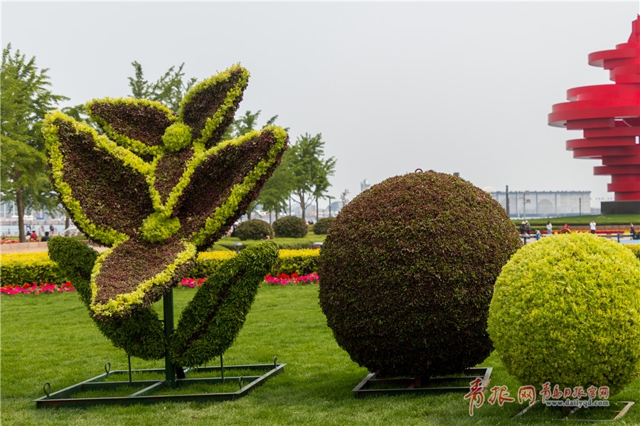 五四广场创意造型绿植引游客驻足观赏