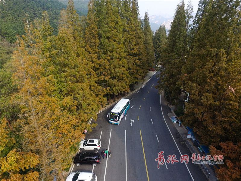 航拍!深秋崂山美如画 公交沿线景色迷人