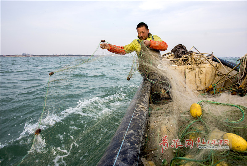 实拍胶州湾老渔民锚网捕鱼:一晚收获190斤